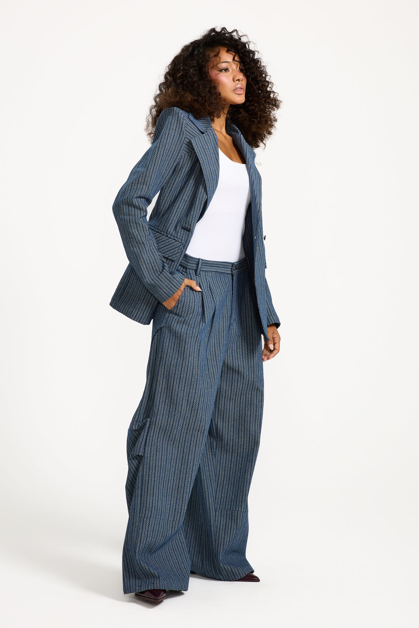 Striped Denim Blazer